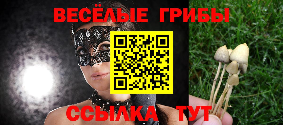 Псилоцибиновые грибы прущие грибы Ишим